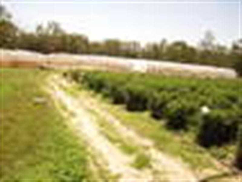 74 Van Dieren Road, Pallara QLD 4110