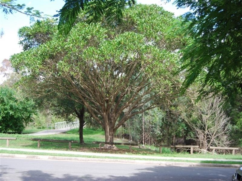 344 Long Street East, Graceville QLD 4075