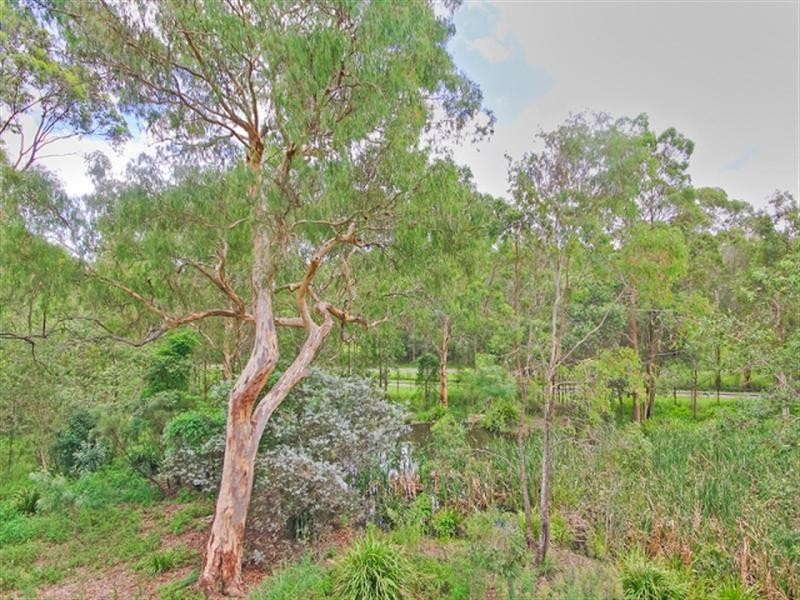 38 Eungella Terrace, Forest Lake QLD 4078