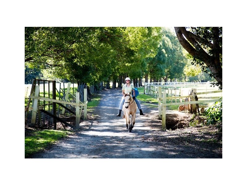 39 Koombahla Drive, Tallebudgera QLD 4228