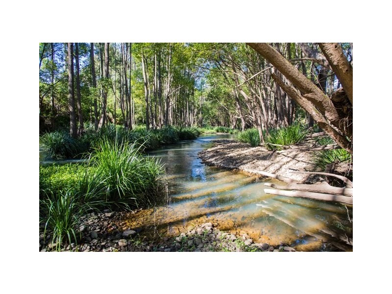 39 Koombahla Drive, Tallebudgera QLD 4228