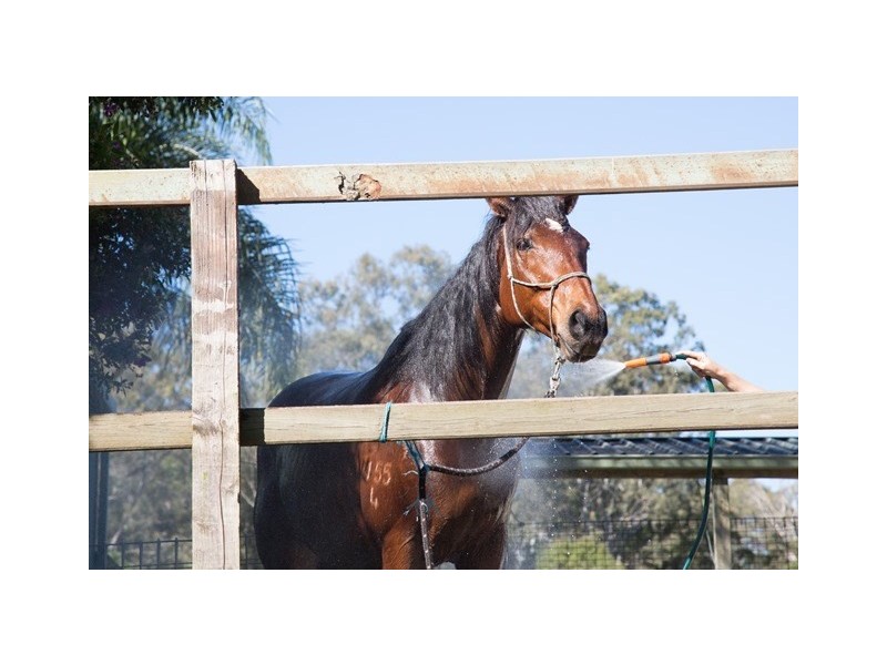 39 Koombahla Drive, Tallebudgera QLD 4228