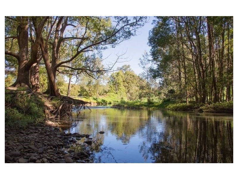 39 Koombahla Drive, Tallebudgera QLD 4228