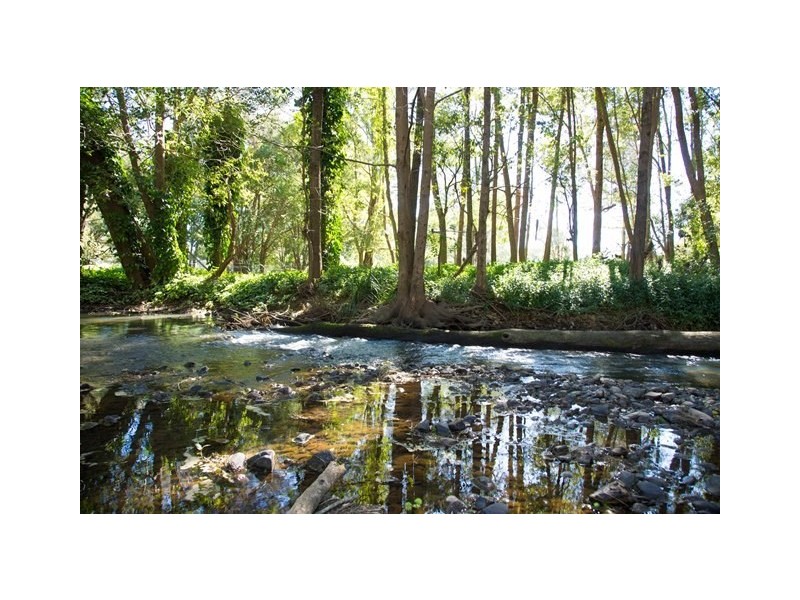 39 Koombahla Drive, Tallebudgera QLD 4228