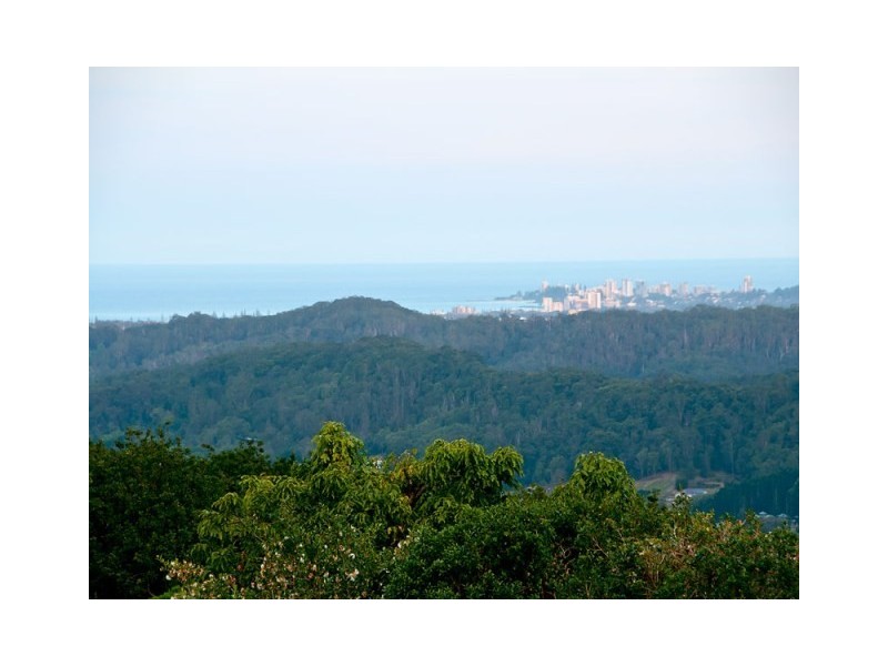 568 Trees Road, Tallebudgera QLD 4228