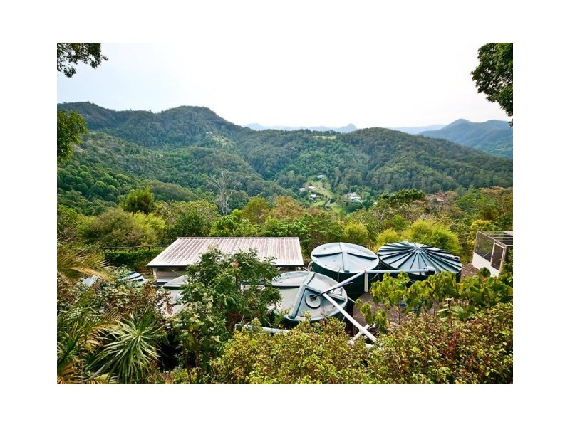 568 Trees Road, Tallebudgera QLD 4228