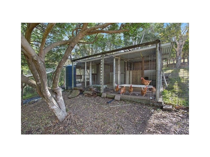 590 Tallebudgera Creek Road, Tallebudgera QLD 4228