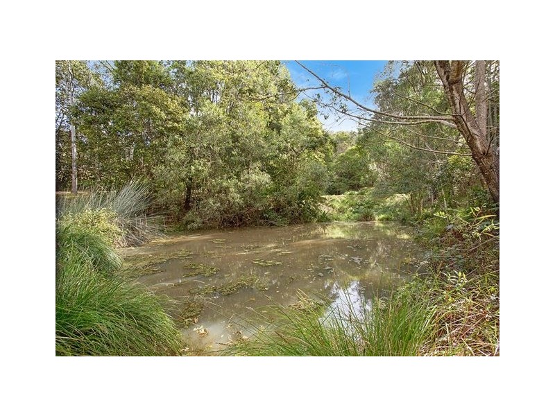 590 Tallebudgera Creek Road, Tallebudgera QLD 4228