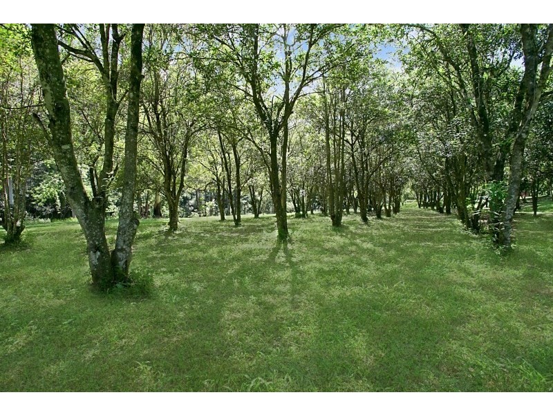 1125 Gold Coast-Springbrook Road, Austinville QLD 4213