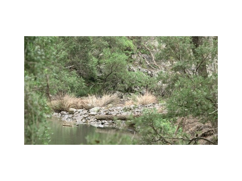 1125 Gold Coast-Springbrook Road, Austinville QLD 4213