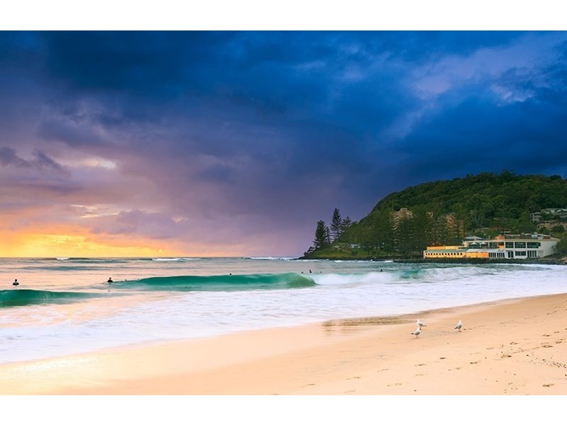 8 Dabchick Drive, Burleigh Waters QLD 4220