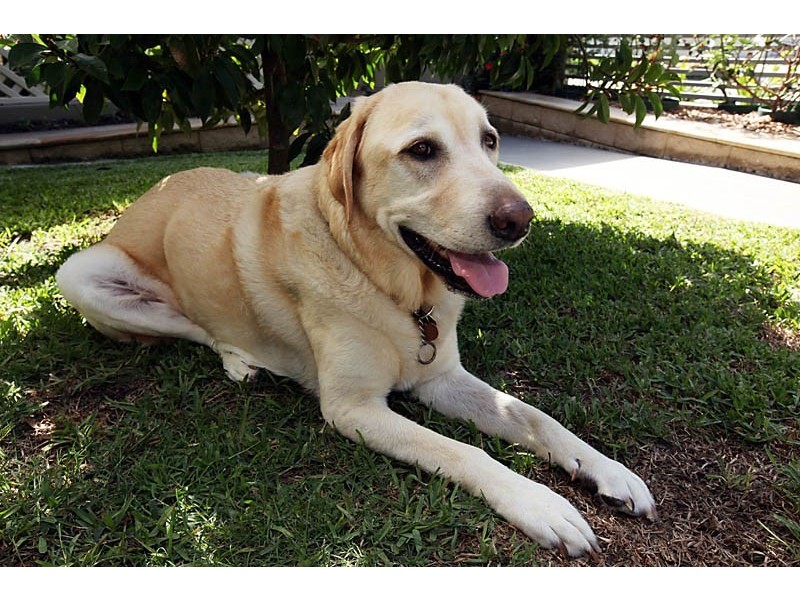 18 Merrimac Boulevard, Broadbeach Waters QLD 4218