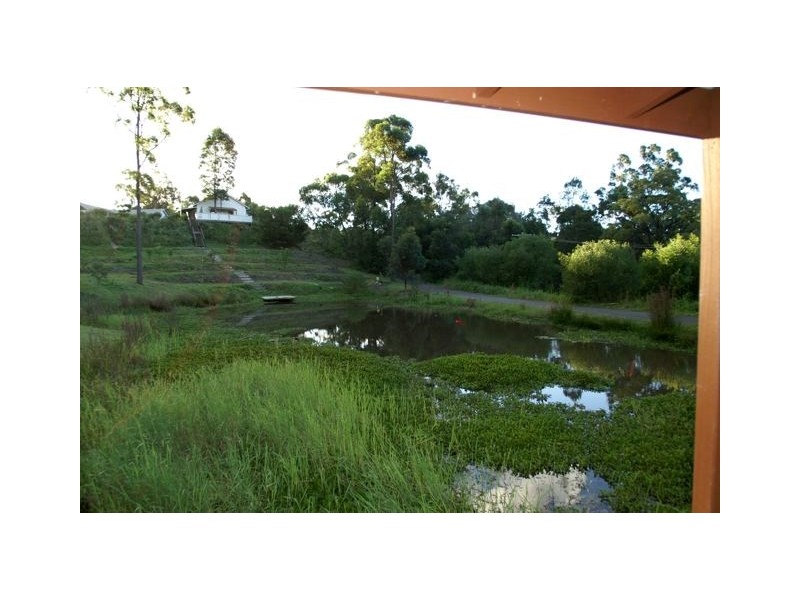 303 Trees Road, Tallebudgera QLD 4228