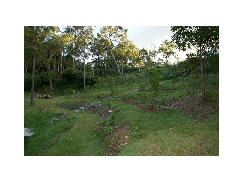 303 Trees Road, Tallebudgera QLD 4228