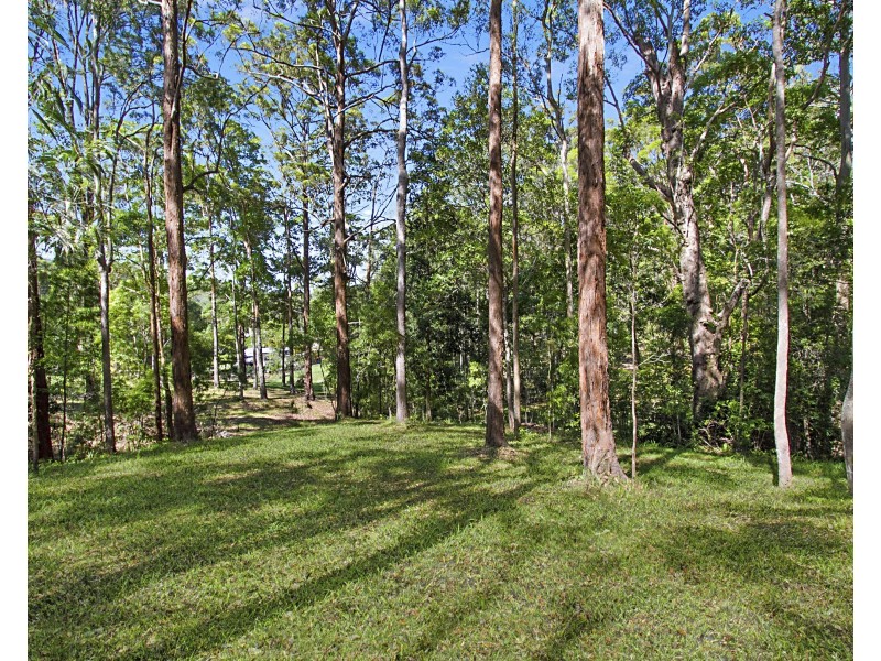 14 Clare Court, Tallebudgera QLD 4228