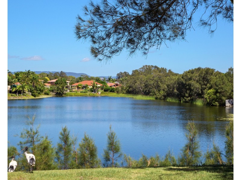 6 Santa Cruz Boulevard, Clear Island Waters QLD 4226