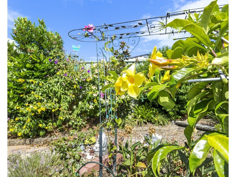 15 Treeview Drive, Burleigh Waters QLD 4220