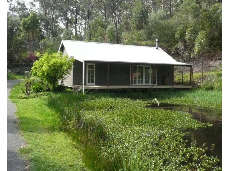 00 Trees Road, Tallebudgera QLD 4228