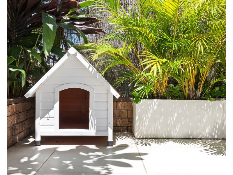 2/4 Rosewood Avenue, Broadbeach QLD 4218