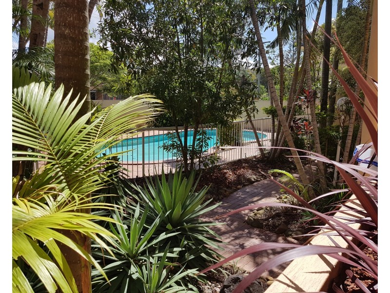 3/85 Petrel Avenue, Mermaid Beach QLD 4218