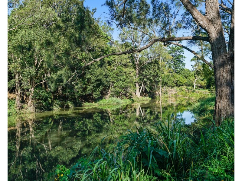 20 Tyalla Court, Tallebudgera QLD 4228