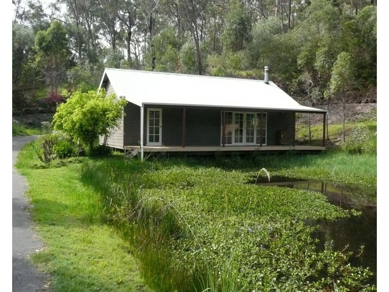00 Trees Road, Tallebudgera QLD 4228