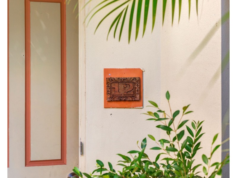 2/22 Peninsular Drive, Surfers Paradise QLD 4217