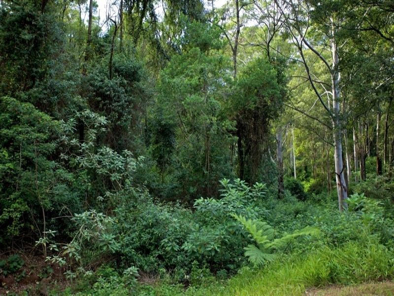 115-117 North Road, Lower Beechmont QLD 4211