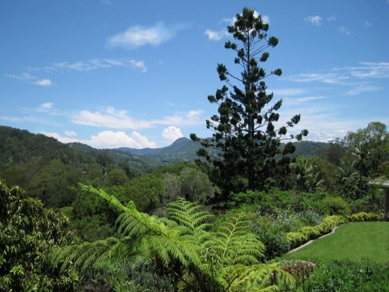 132 Tierney Drive, Currumbin Waters QLD 4223