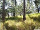 56 Buckingham Way, Elanora QLD 4221