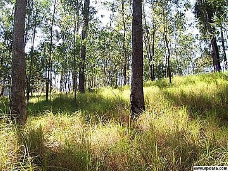 56 Buckingham Way, Elanora QLD 4221