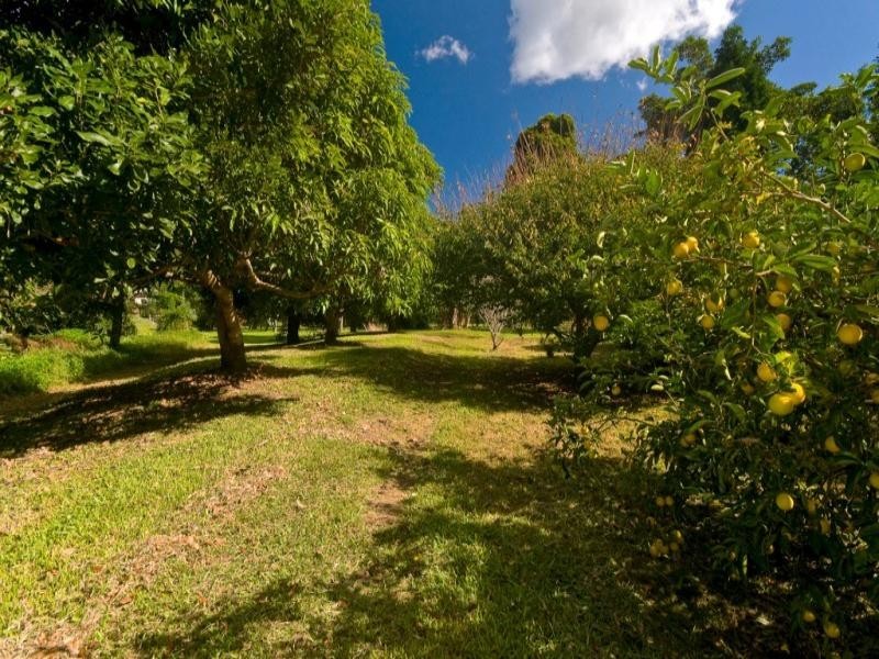 10 Tom Latimer Court, Worongary QLD 4213