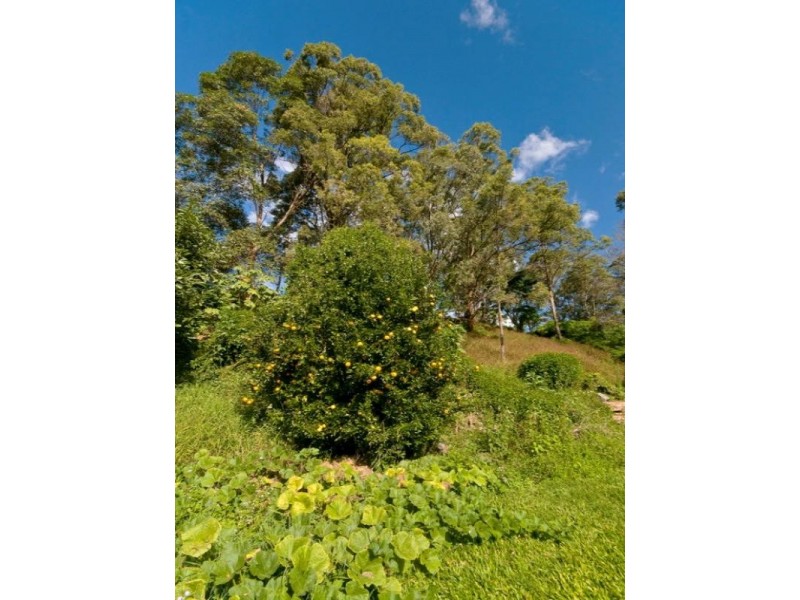 10 Tom Latimer Court, Worongary QLD 4213