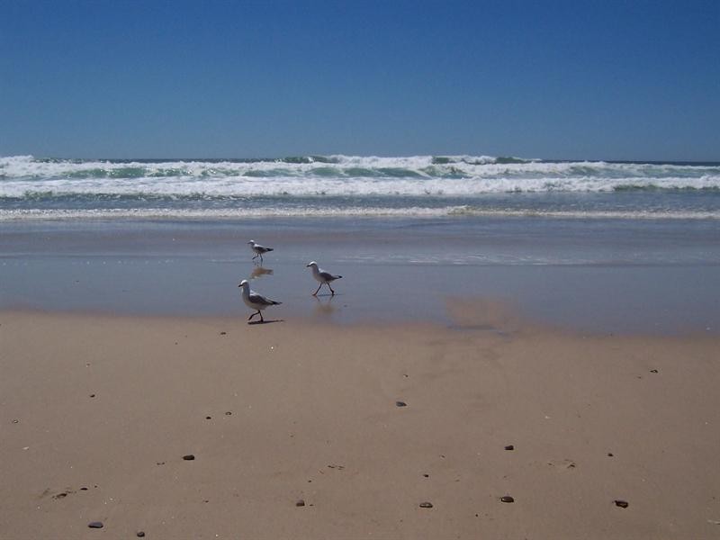 7 ‘Pookanah’, 80 Albatross Avenue, Mermaid Beach QLD 4218