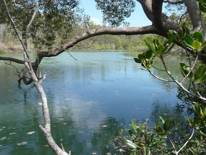 665 Toogoom Road (Beelbi Creek), Toogoom QLD 4655