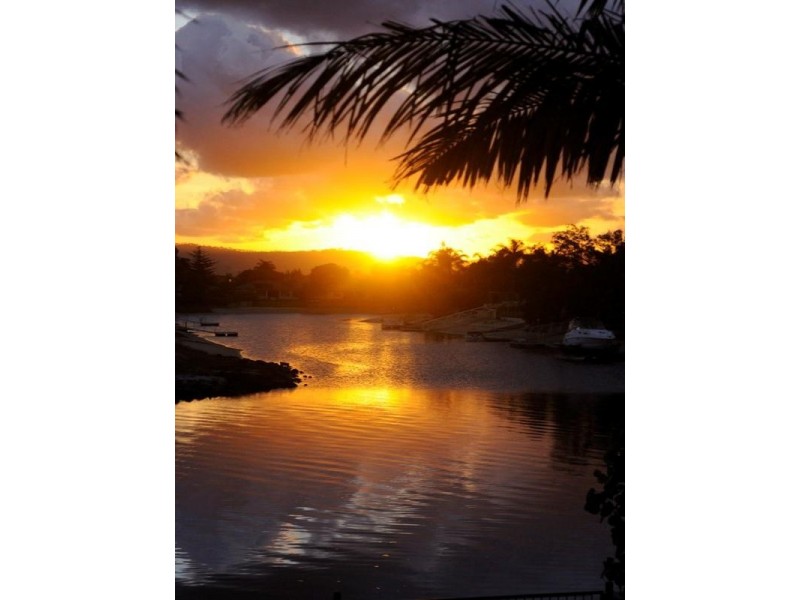 54 Avanti Street, Mermaid Waters QLD 4218