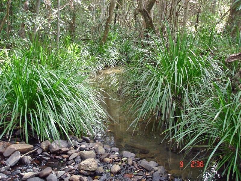 46 Charles Kurz Drive, Worongary QLD 4213