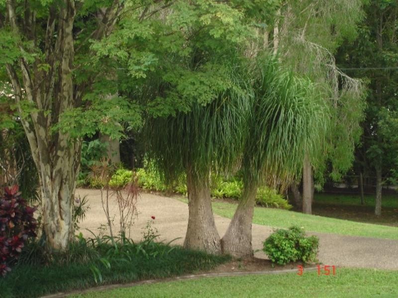 46 Charles Kurz Drive, Worongary QLD 4213