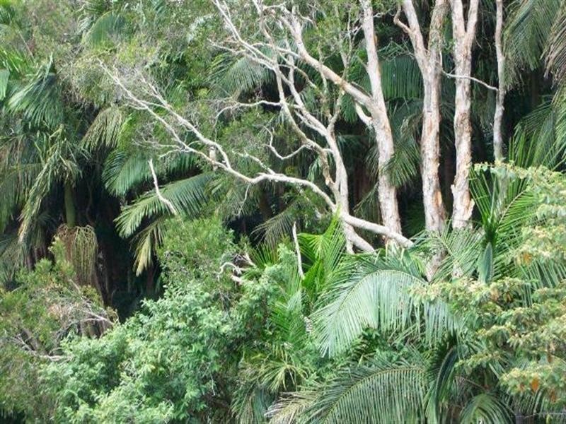 Whispering Palms Estate ‘, 32 Martinelli Avenue, Banora Point NSW 2486