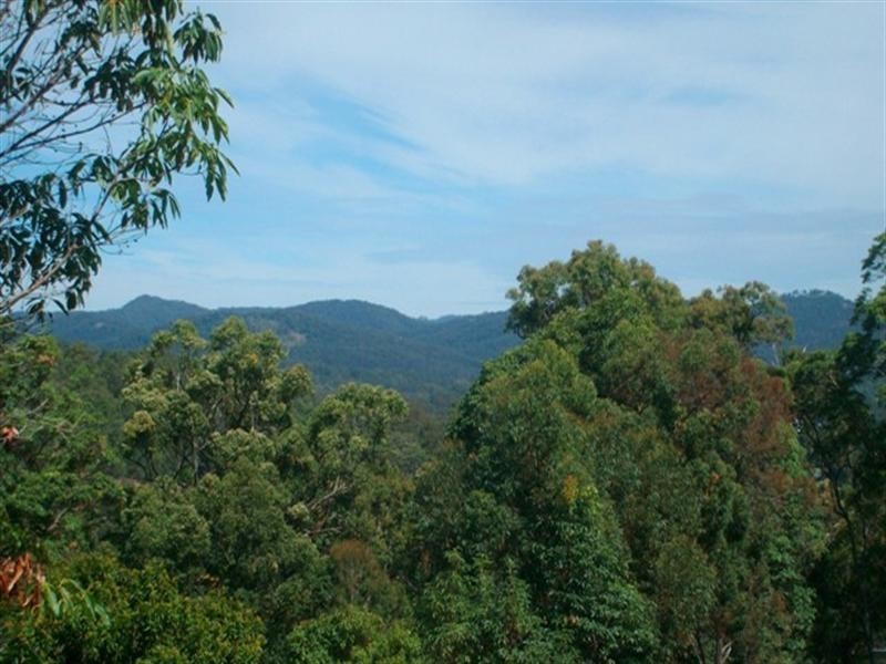 12 Forest Drive, Elanora QLD 4221