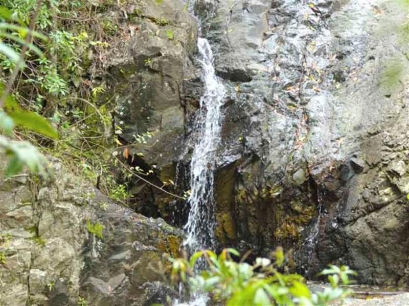 340 Petsch Creek Road, Tallebudgera Valley QLD 4228