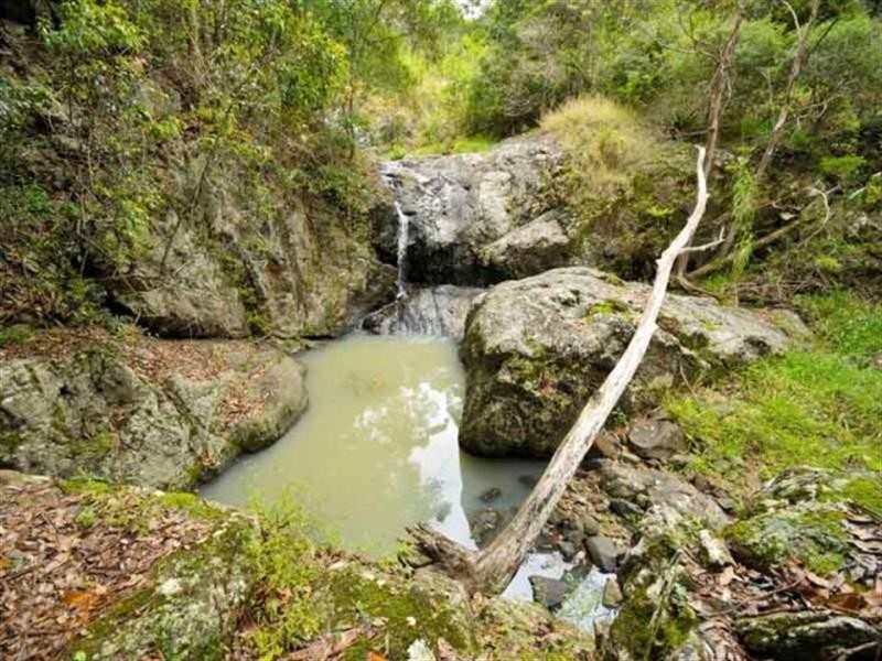 340 Petsch Creek Road, Tallebudgera Valley QLD 4228