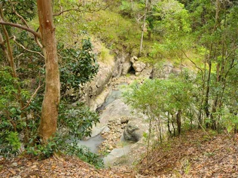 340 Petsch Creek Road, Tallebudgera Valley QLD 4228
