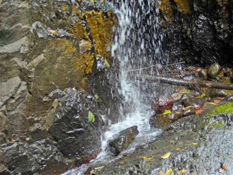 340 Petsch Creek Road, Tallebudgera Valley QLD 4228