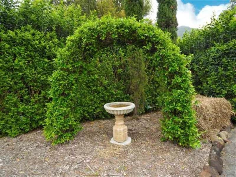 340 Petsch Creek Road, Tallebudgera Valley QLD 4228