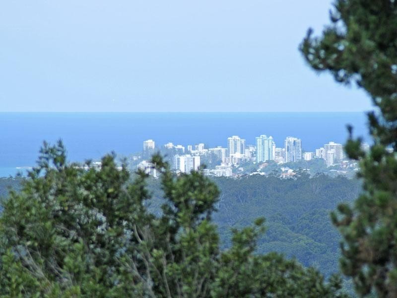 620 Trees Road, Tallebudgera QLD 4228