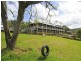 620 Trees Road, Tallebudgera QLD 4228