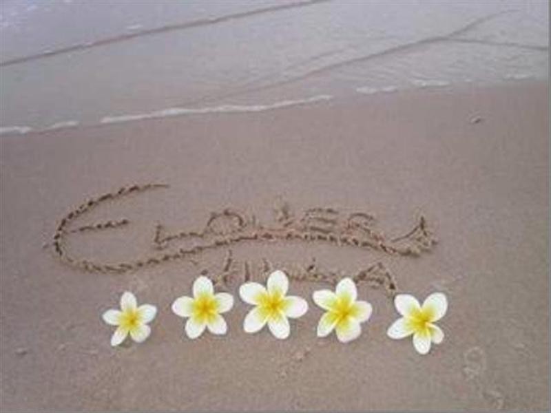 6 Seagull Avenue, Mermaid Beach QLD 4218