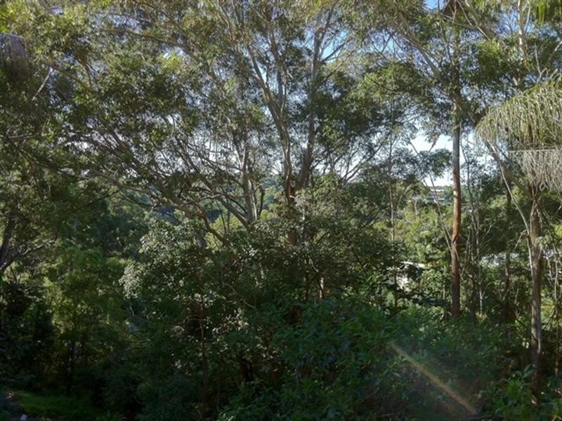 34 Domain Road, Currumbin QLD 4223