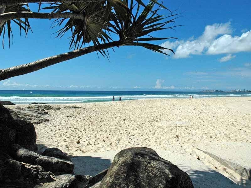 34 Domain Road, Currumbin QLD 4223